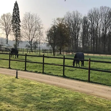 Semesterbostad Eco In Latour With Garden Sauna Oirschot
