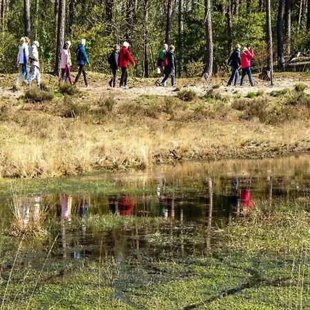 Eco In Latour With Garden Sauna Semesterbostad *