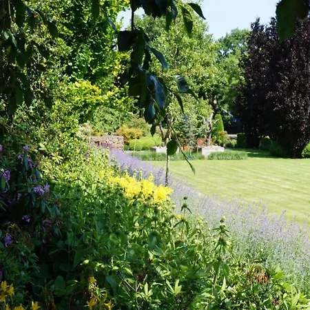 Beautiful With Sauna, Located In A In Brabant Ferienhaus Oirschot
