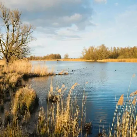 Semesterbostad Eco In Latour With Garden Sauna Oirschot