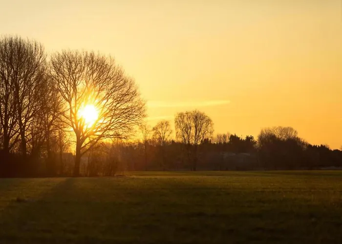 Σπίτι διακοπών Eco In Latour With Garden Sauna Oirschot