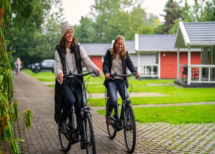 Eco In Latour With Garden Sauna Oirschot