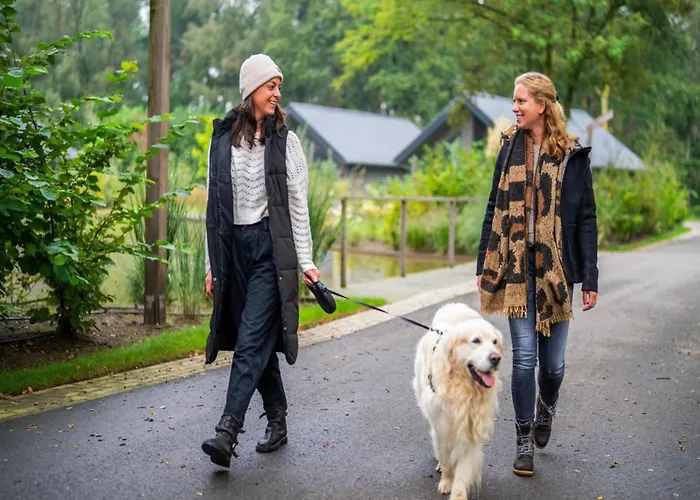 Eco In Latour With Garden Sauna * Oirschot