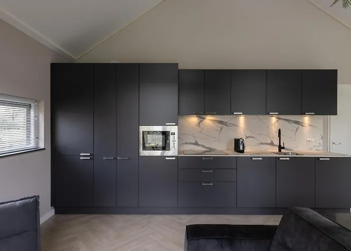 Holiday home Eco In Latour With Garden Sauna Oirschot