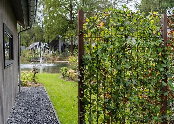 Holiday home Eco In Latour With Garden Sauna Oirschot