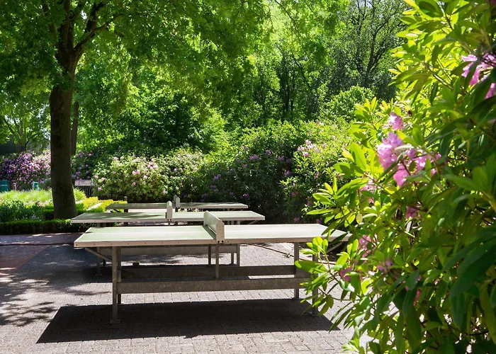 Eco In Latour With Garden Sauna Holiday home Oirschot