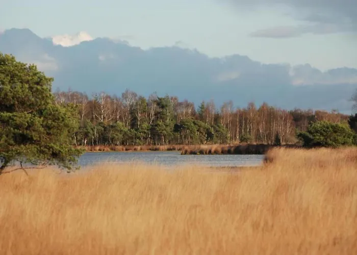 Holiday home Eco In Latour With Garden Sauna *