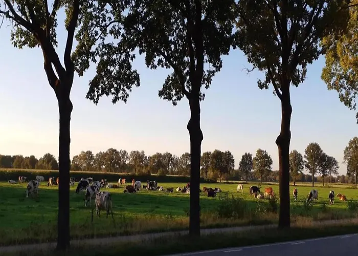 Holiday home Eco In Latour With Garden Sauna Oirschot