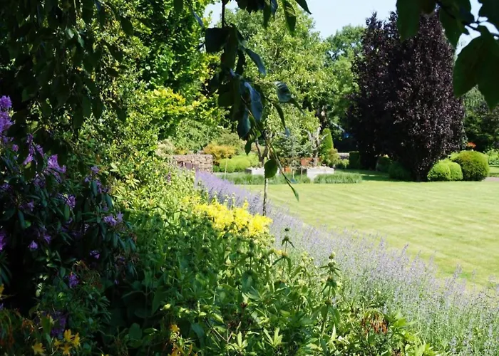 Eco In Latour With Garden Sauna Holiday home Oirschot