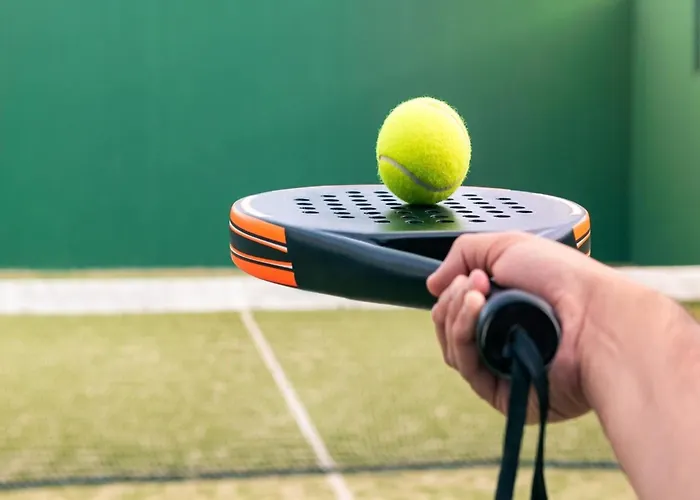 Eco In Latour With Garden Sauna Holiday home